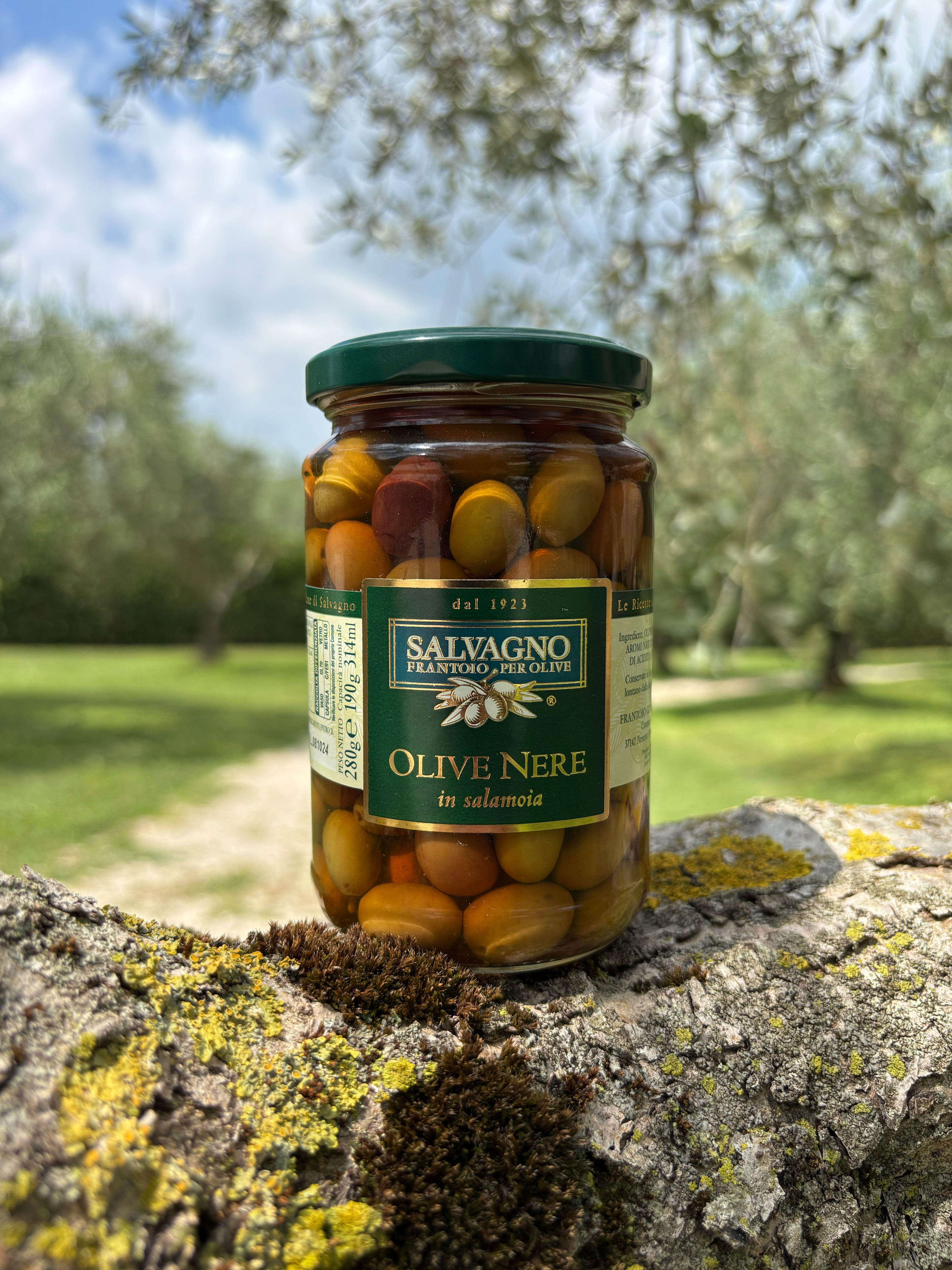 6. Svarta Oliver (i saltlag med kärna) - SALVAGNO - 280 gram